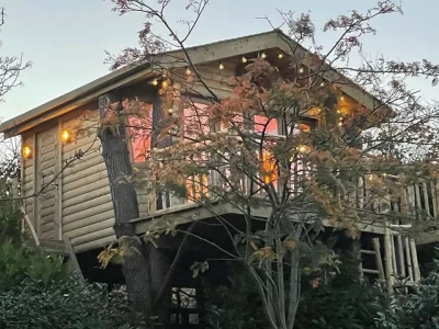 Tree House Log Cabin Chalet Ireland