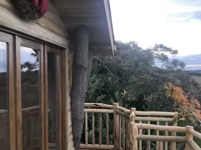 Tree House Log Cabin Chalet Ireland